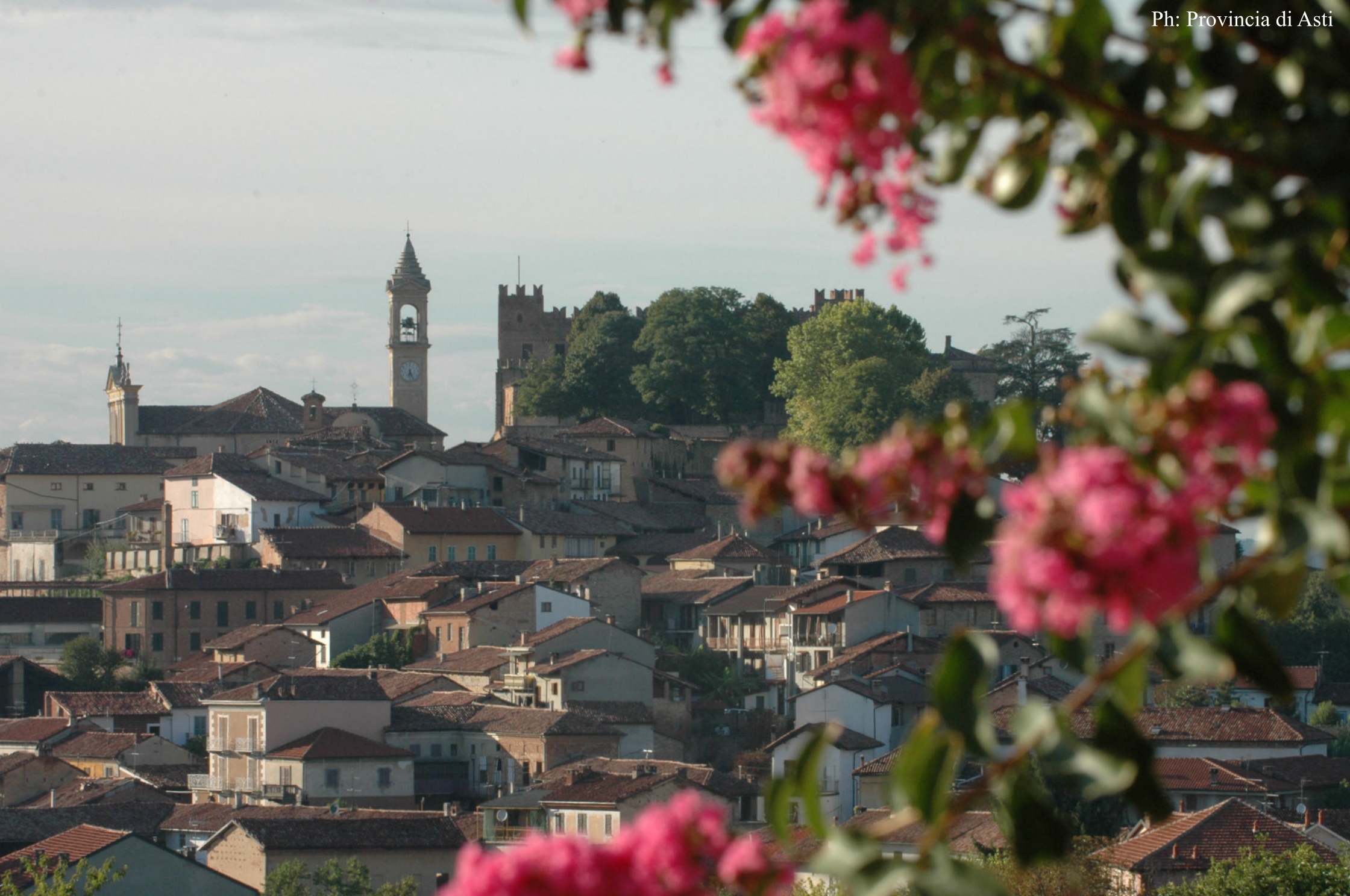 Paesaggio di Montemagno (15)