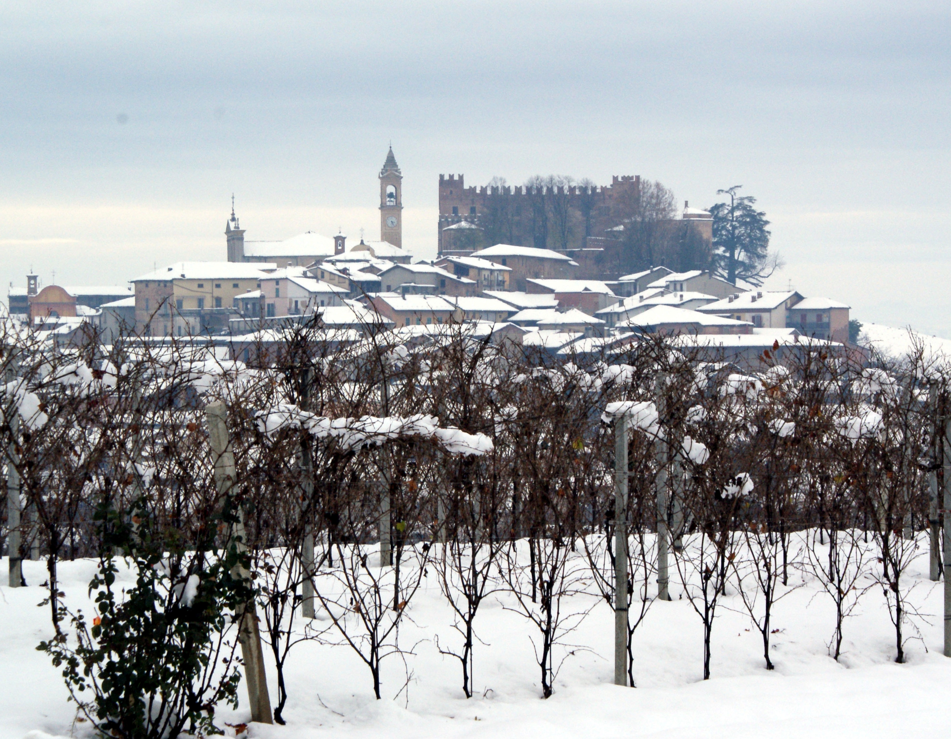 Paesaggio di Montemagno (18)