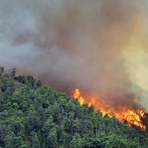 incendi boschivi